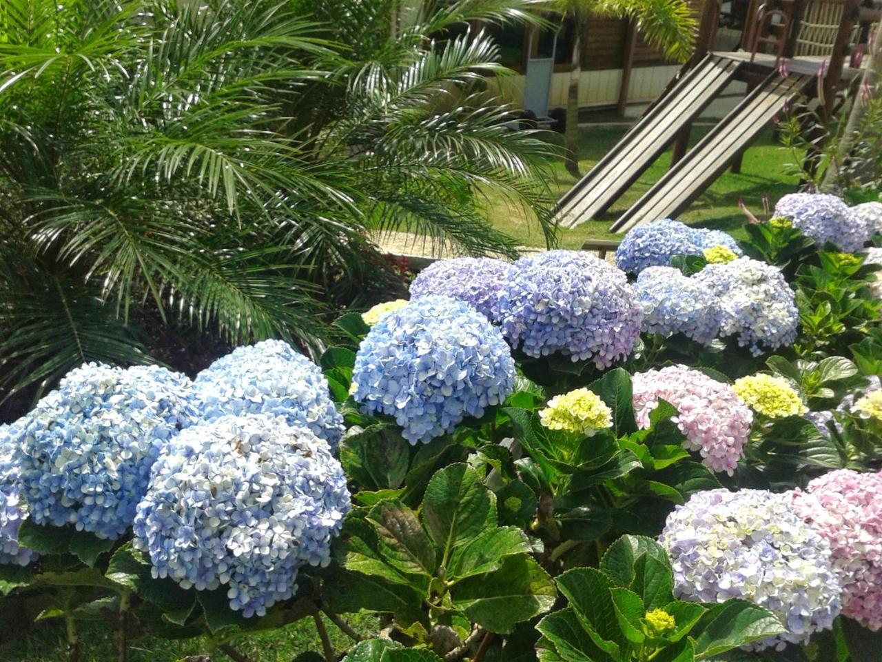 Hotel Vale Das Nuvens Guaramiranga Dış mekan fotoğraf